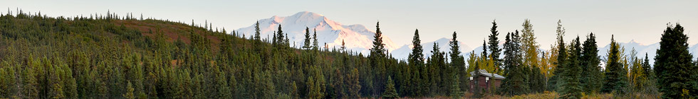 Parc national et réserve de Denali