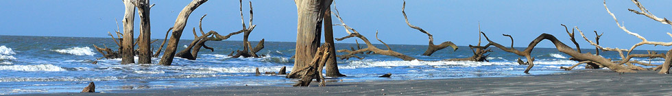 Cape Romain National Wildlife Refuge