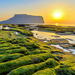 Ile Volcanique et Tunnels de Jeju