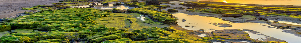 Ile Volcanique et Tunnels de Jeju