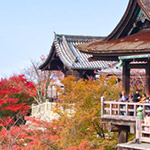 Temple Kiyomizu-dera