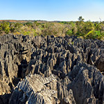 Réserve naturelle du Tsingy de Bemaraha