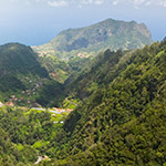 Forêt laurifère de Madère