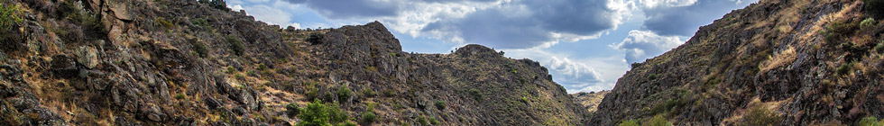 Sites Rupestres de la Vallée de la Côa