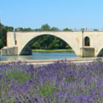 Pont D'Avignon