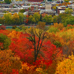 Mont Royal