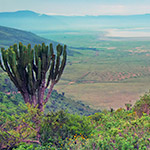 Cratère du Ngorongoro