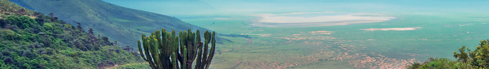 Cratère du Ngorongoro