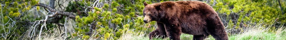 Parc National Nahanni