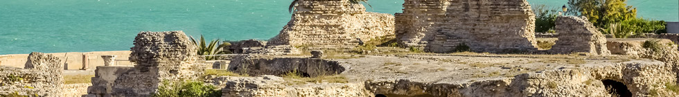 Site archéologique de Carthage