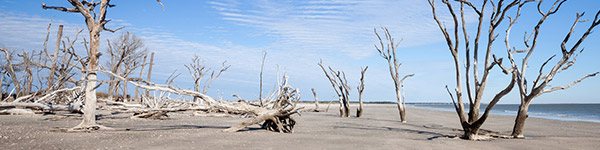 cape romain national wildlife refuge