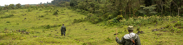 parc national des virunga