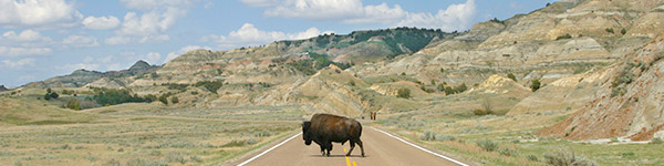 theodore roosevelt national memorial park