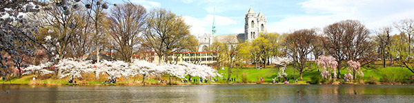 cathedrale du sacre coeur de branch brook park