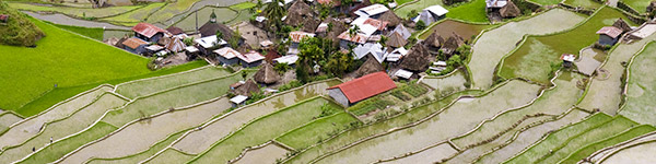 rizieres en terrasses de banaue