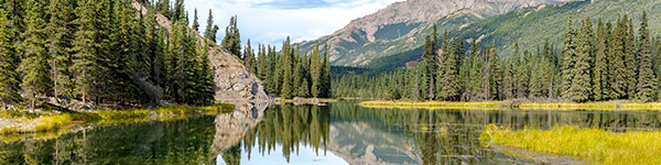 parc national et reserve de denali