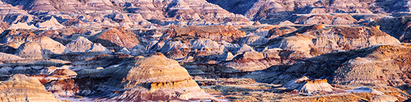 dinosaur provincial park 