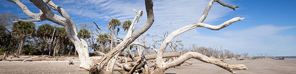 cape romain national wildlife refuge