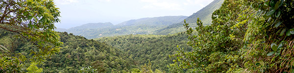 parc national de morne trois pitons