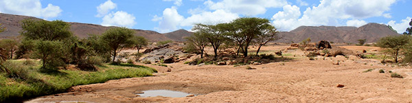 reserves naturelles de l air et du tenere