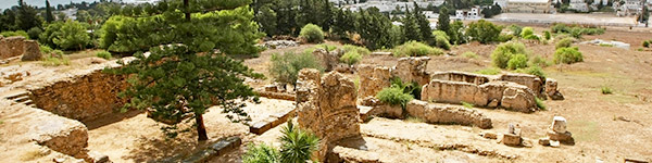 site archeologique de carthage