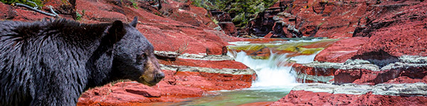 Parc-de-waterton