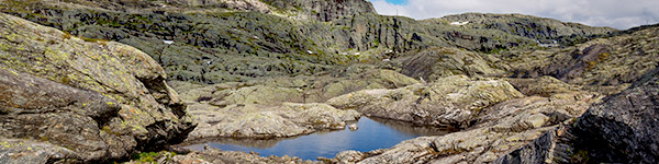 Plateau-de-hardangervidda