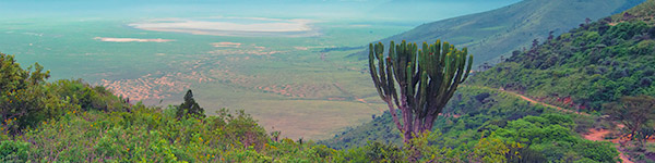 Cratere-du-ngorongoro