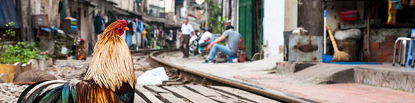 Hanoi