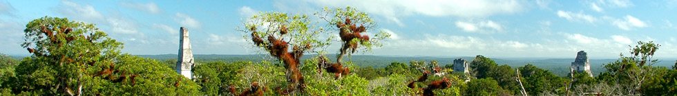 Site-de-tikal