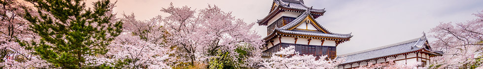 Todai-ji