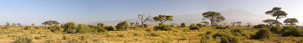 Parc-d-amboseli