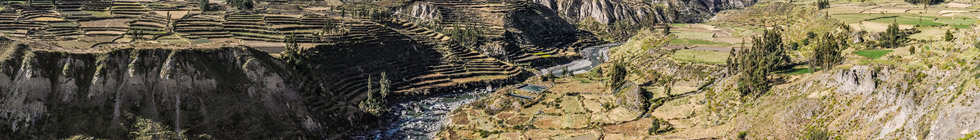 Canyon-de-colca