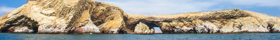 Reserve-de-paracas