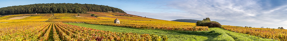 Bannière bourgogne