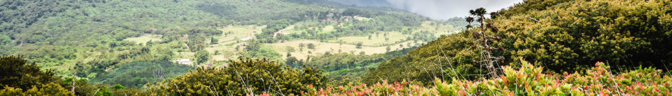 Bannière el-salvador