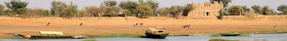 Bannière niger