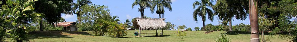 Bannière suriname