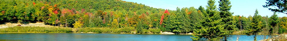 Bannière terre-neuve-et-labrador