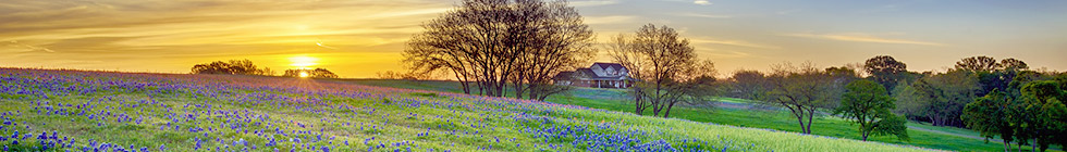 Bannière texas