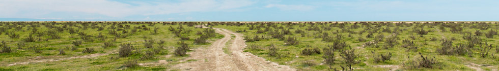 Bannière turkmenistan