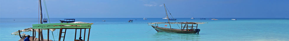 Bannière zanzibar