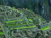 Cuzco