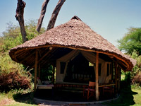 Parc-d-amboseli