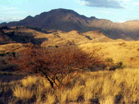 Parc-national-d-etosha