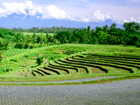 Ubud